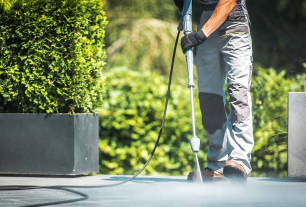 Best Dumpster Area Cleaning  in Dunnigan, CA